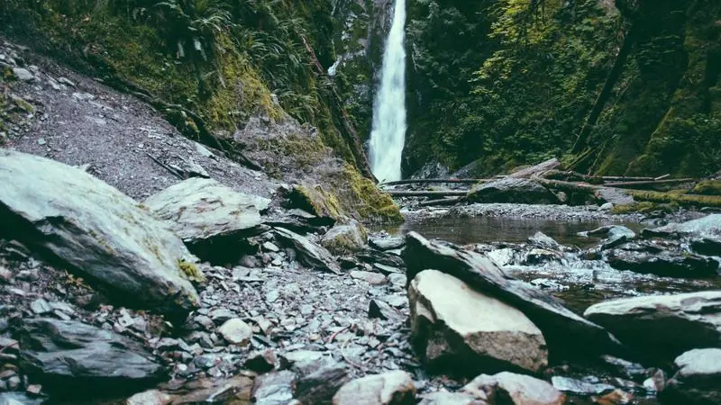 Détecter les Arnaques en OFM avec l'IA